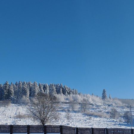 Перлина Карпат Apartment Skhidnytsia Luaran gambar