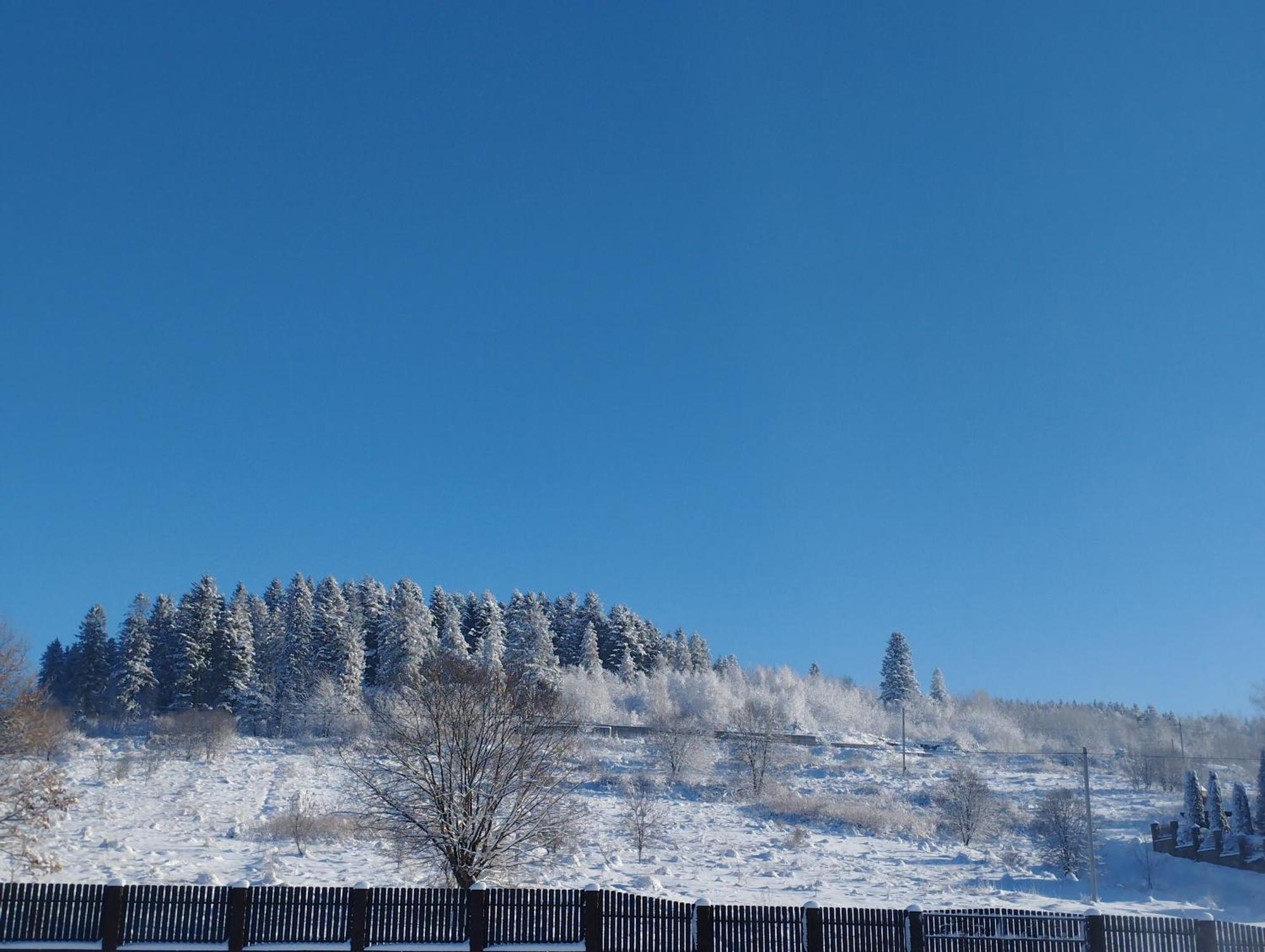 Перлина Карпат Apartment Skhidnytsia Luaran gambar